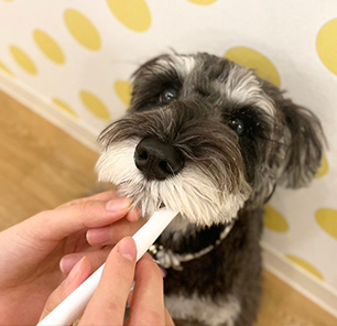 お手入れタイム