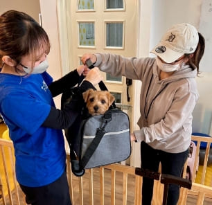 お帰り・ご報告送り届け